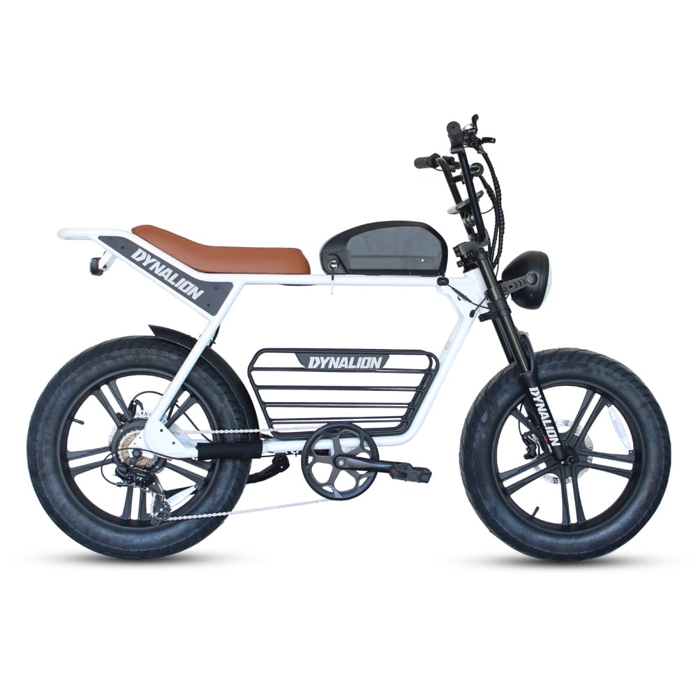 E-Zoom - Eevo Motors