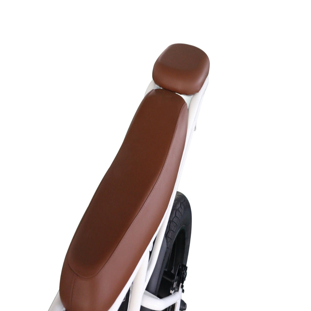 Brown E-Bike Passenger Seat